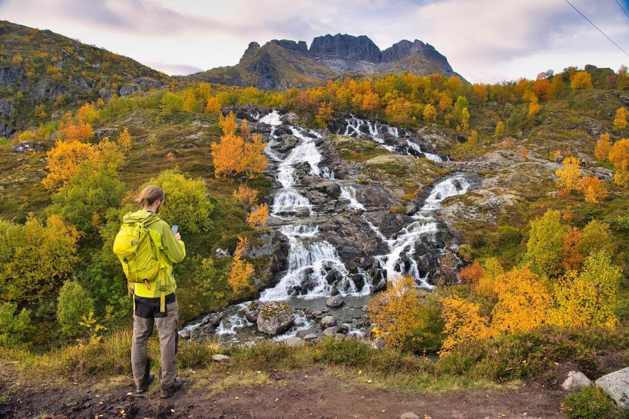 Lofoten Planet Basecamp Villa Sørvågen Dış mekan fotoğraf